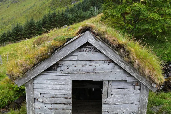Rifugio Legno Pecore Pastori Runde Island Norvegia Tetto Tradizionale Erba — Foto Stock