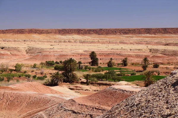 Oase Woestijn Bij Ait Benhaddou Marokko Historische Ksar Stad Een — Stockfoto