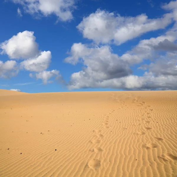 Taboga Dunes Malowniczy Krajobraz Pustyni Pobliżu Agadiru Maroko Pustynia Piaskowa — Zdjęcie stockowe