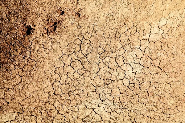 Gedroogde Modder Oppervlak Droge Rivierbedding Aarde Textuur Droogte Californië — Stockfoto