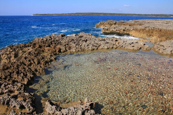 Coral Costa Rochosa Cienfuegos Cuba Piscina Rocha Natural — Fotografia de Stock