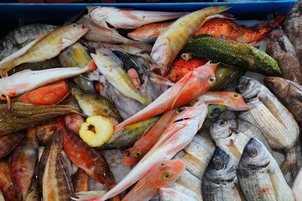イタリアのサルデーニャ島のアルゲロ町の魚市場 地中海産のアカレイ アカレイその他の魚種 — ストック写真