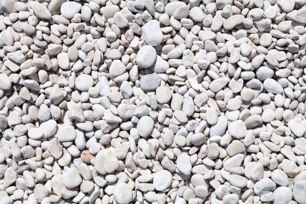 White Zen Stone Beach Texture Sardinia Island Italy White Stone — Stock Photo, Image