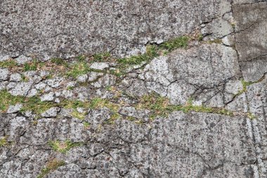 Damaged concrete road surface with weeds in Guadeloupe. Countryside road maintenance concept.