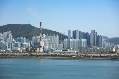 Güney Kore, Busan 'ın Saha-gu semtinde Sinpyeong-dong yerleşim bölgesi. Nakdonggang Nehri. Moda boyama kimya fabrikası ön planda.