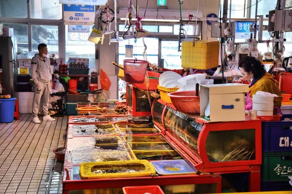 Busan South Korea March 2023 Vendors Sell Fish Sea Food — Stock Photo, Image