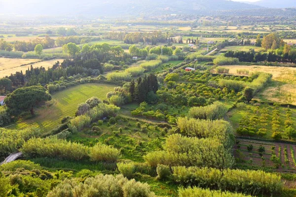 Jordbrukslandskapet Sardinien Posada Landskap Provinsen Nuoro Fruktträdgårdar Sardinien Italien — Stockfoto
