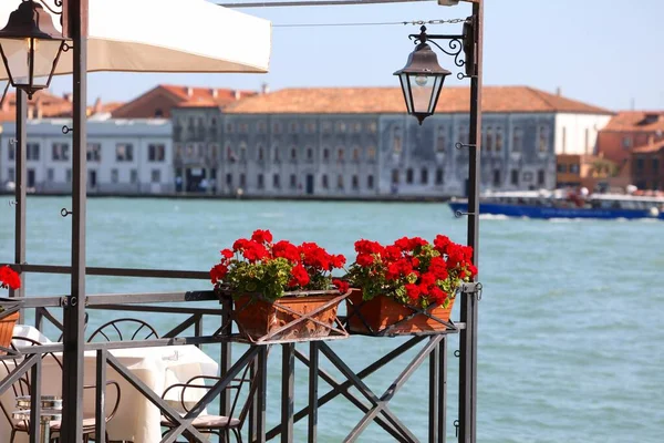 Венеция Италия Цветочные Украшения Красным Зональным Пеларгонием Ресторане Рядом Каналом — стоковое фото