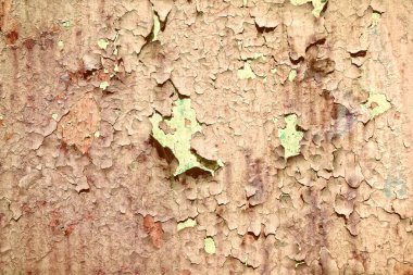 Grunge kahverengi arka plan betonu. Sıkıntılı, eski, kirli, beton, boyalı duvar dokusu..