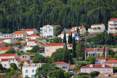 Dubrovnik yamacı çağdaş yerleşim bölgesi. Hırvatistan 'ın Dubrovnik kentinde evler ve selvi ağaçları.