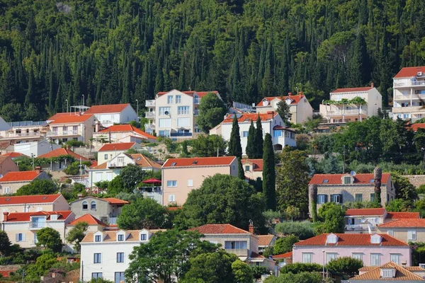 ドゥブロヴニクは現代的な住宅街を隠している クロアチアのドゥブロヴニクの家とサイプレスツリー — ストック写真