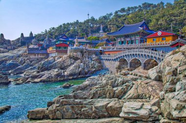 Güney Kore, Busan 'daki Haedong Yonggungsa Tapınağı. Kore 'deki Budist tapınağı.