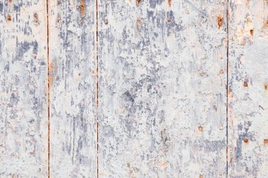 White grey wooden texture. Worn surface grungy white wood background.
