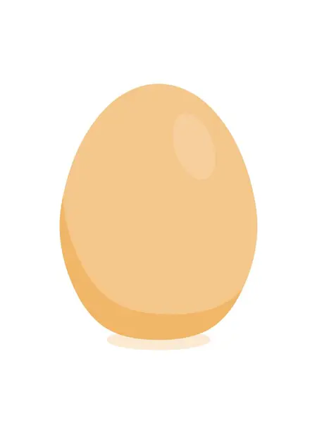 Ilustrace Vajíček Jednoduché Vektorové Kuřecí Vejce Jedno Vejce — Stockový vektor