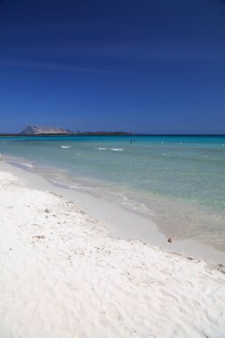 İtalya, Sardinya 'daki La Cinta mükemmel plajı. Sardunya adasındaki bölge.