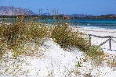 İtalya, Sardinya 'daki La Cinta plajının kum tepecikleri. Sardunya adasındaki bölge.