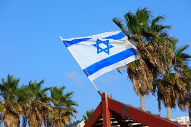 Flag of Israel in the wind. Israeli national colors.