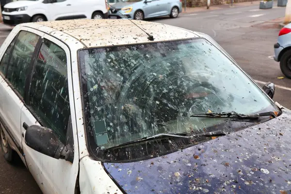 Bird droppings on whole car. Dirty, stained car covered in bird poop. Parking problem.