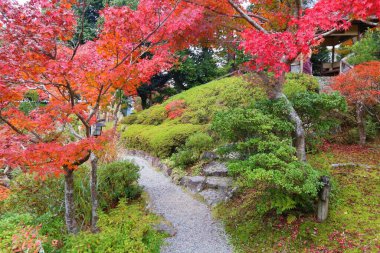 Nara, Japonya. Japon bahçesinde sonbahar renkleri. Yoshikien Bahçesi.