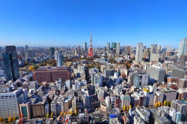 TOKYO, JAPONYAN - 2 ARALIK 2016: Tokyo Kulesi 'nin ünlü manzarası. Japonya 'nın başkentidir. Metro bölgesinde 37,8 milyon insan yaşıyor..