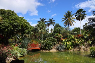 Guadeloupe - Karayip tatil beldesi. Deshaies 'deki Botanik Bahçesi.