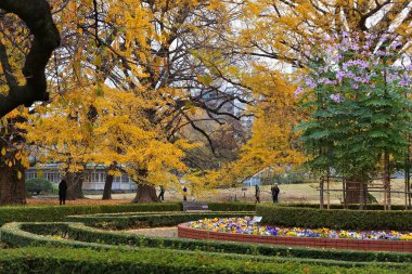 Tokyo, Japonya 'da sonbaharda Shinjuku Gyoen parkı. Sonbahar yaprakları.