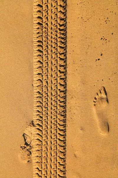 Car tyre tracks on beach sand in Morocco.