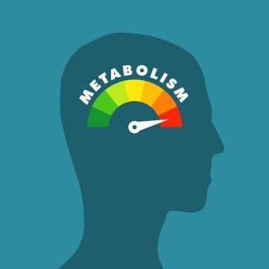 Metabolism level meter on a person head profile view. Health concept illustration. clipart