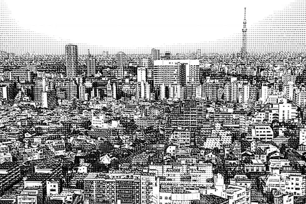 Tóquio Japão Gravura Gravura Ilustração Estilo Impressão Preto Branco — Fotografia de Stock