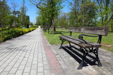 Kedzierzyn-Kozle, Polonya şehri. Park Pojednania 'da İlkbahar (İngilizce: Uzlaşma Parkı).