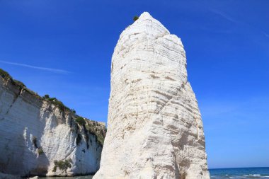 İtalya 'daki Gargano Ulusal Parkı, Vieste' deki Pizzomunno Rock. İtalyan manzarası.