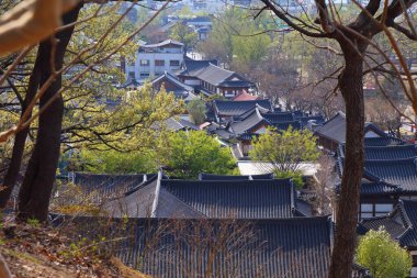 Jeonju Hanok Köyü Güney Kore 'de. Geleneksel Kore ahşap mimarisinin mahallesi..
