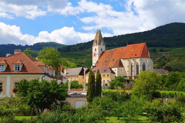 Weissenkirchen in der Wachau, Avusturya 'nın küçük bir kasabası Wachau' da şarap yetiştiren bölge.
