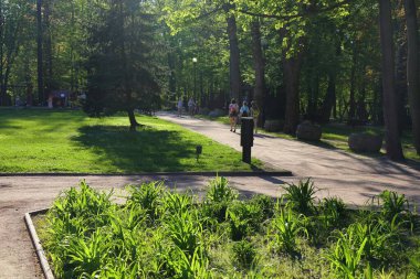 Polonya 'daki Jastrzebie Zdroj şehri. Tarihi Spa Parkı (Lehçe: Park Zdrojowy).