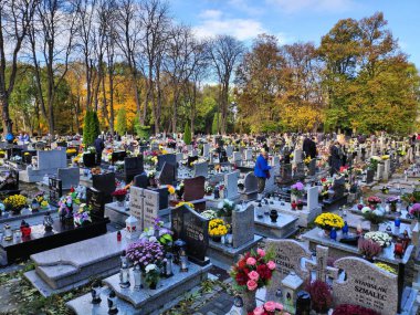 BYTOM, POLAND - 1 Kasım 2023: Polonya 'da Azizler Günü' nde (Wszystkich Swietych) bir mezarlığı ziyaret edenler.