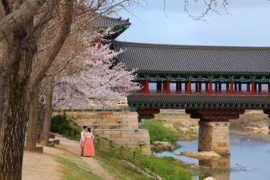 GYEONGJU, Güney Kore - 26 Mart 2023: Geleneksel Hanbok kıyafetleriyle turistler Güney Kore 'nin Gyeongju kentindeki tarihi yerleri ziyaret ediyorlar. İpek böceği tarihi Gyeongju 'da önemli bir dekorasyon motifiydi..