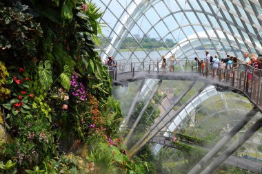 SINGAPORE ŞEHRİ, SINGAPORE - 12 Mart 2024: İnsanlar Singapur Körfezi yakınlarındaki Bahçeler Bulut Ormanı konservatuarını ziyaret ediyor.