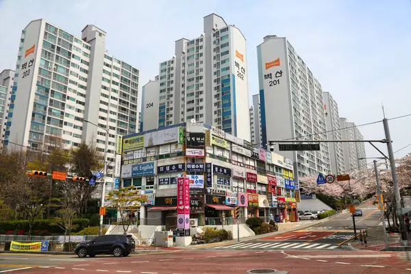 Busan Südkorea März 2023 Straßenansicht Mit Kirschblüten Einem Wohnviertel Jwa — Stockfoto