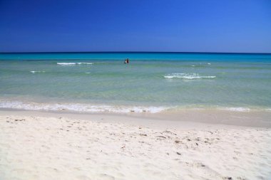 İtalya, Sardinya 'daki La Cinta mükemmel plajı. Sardunya adasındaki Costa Smeralda bölgesi.