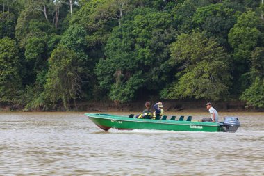 SUKAU, MALAYSIA - 7 Mart 2024: Turistler, Malezya 'nın Borneo adasındaki Sabah kasabasının kuzeydoğusundaki Sandakan Tümenindeki Kinabatangan nehrinde vahşi yaşam tekne turuna katıldılar.