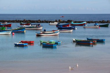 TENERİFE, İspanya - 27 Ekim 2012: Tenerife 'deki Teresitas Sahili' nde balıkçı teknesi limanı.