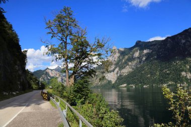 Avusturya Alpleri 'ndeki Traunsee Dağı Gölü. Salzkammergut bölgesinde Avusturya manzarası. Traun Gölü. Salzkammergut Radweg bisiklet yolu.