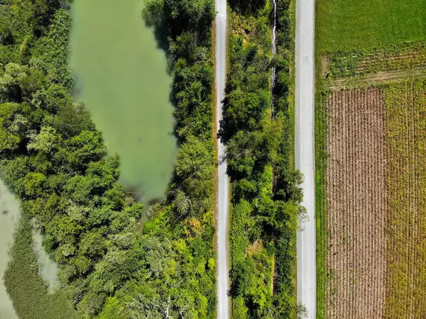 Stock image Drava River bicycle path (Drauradweg, on the left) side by side next to car road (right) near St. Jakob im Rosental, Austria. Summer view from a drone.