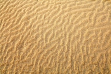 Kum dokusu. Çöl kum arka planı. Fas Çölü soyut dokusu.