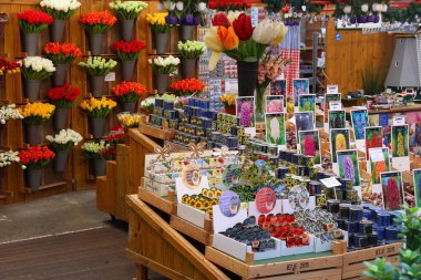 AMSTERDAM, NETHERLANDS - 8 Temmuz 2017: Amsterdam, Hollanda 'da çiçek pazarı (Bloemenmarkt). Bloemenmarkt, Singel Kanalı 'nda yüzen ünlü çiçek pazarıdır..