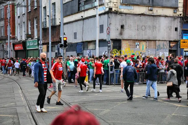 DUBLIN, IRELAND - 7 Temmuz 2024: İrlanda Kıdemli Fırlatma Şampiyonası yarı final maçından sonra Dublin şehir merkezinde hayranları fırlatılıyor.