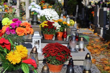 Polonya 'da Azizler Günü' nde (Wszystkich Swietych) bir mezarlıkta süslenmiş mezarlar..
