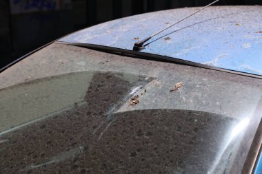 Kirli arabanın yıkanması, çamurlu ve ön camında kuş kakası olan küçük bir araba..