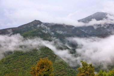 İspanyol Pirenesi 'ndeki Ordesa vadisinde sisli orman katmanları. Sonbahar Ordesa y Monte Perdido Ulusal Parkı, İspanya.