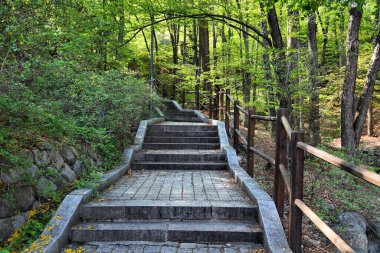Seul 'deki Namsan Parkı. Güney Kore 'deki kamu parkında yol.